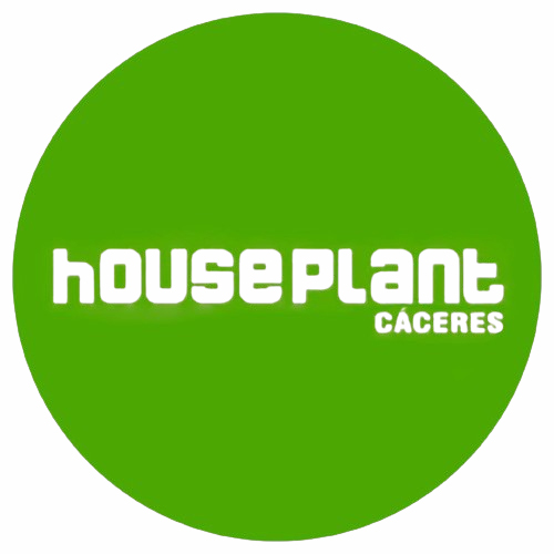 Houseplant